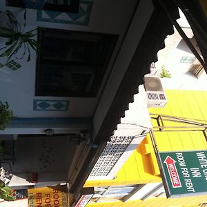 White Orchid Inn I